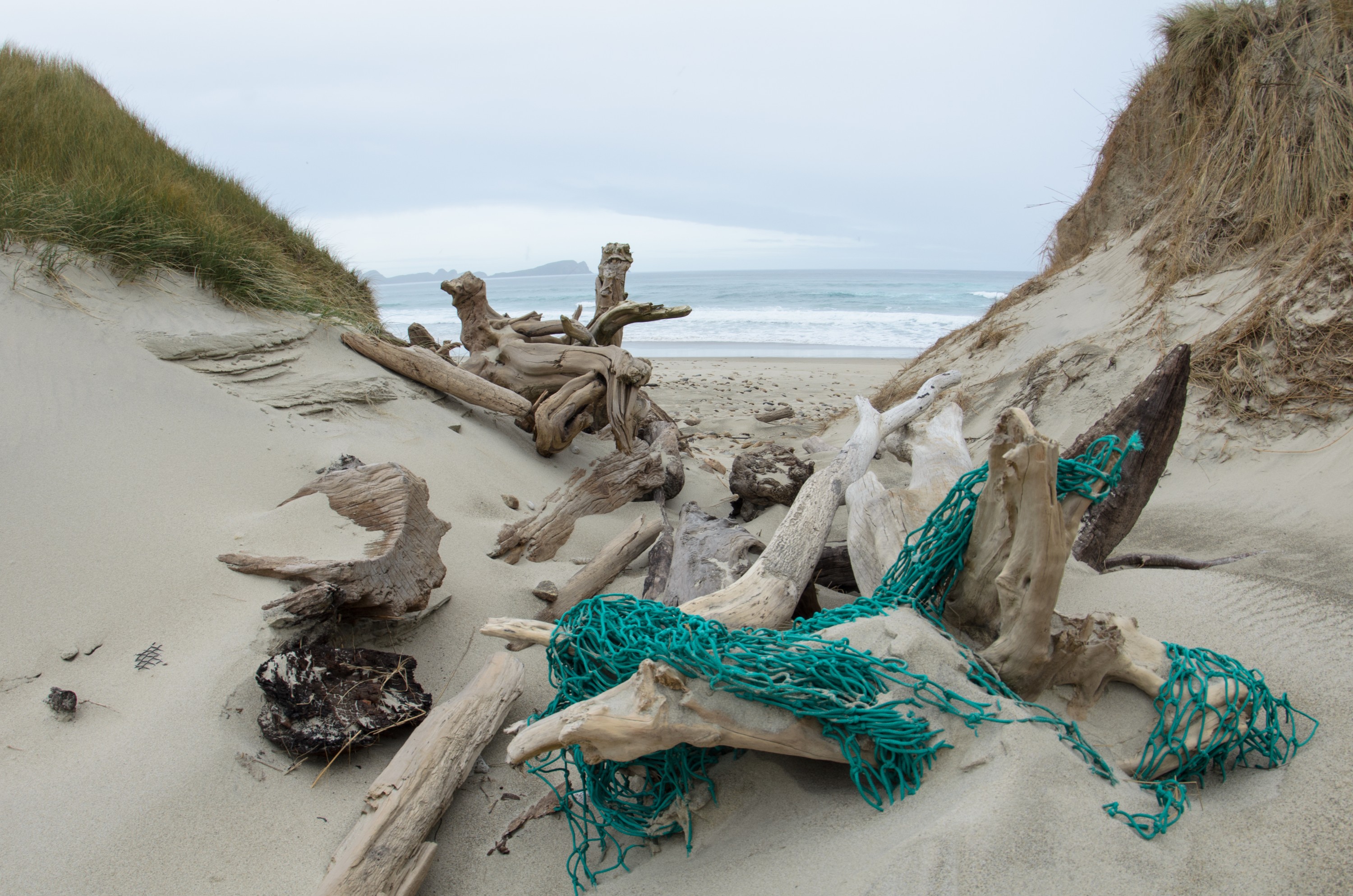 DSC_2013 – Adventure, Bay, Crispin, Island, March 2017, Mason, Mason Bay, National Park, New, New Zealand, Rakiura, South, Stewart, Zealand